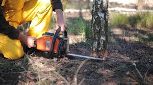 Best Lawn Irrigation Installation and Maintenance  in Dormont, PA
